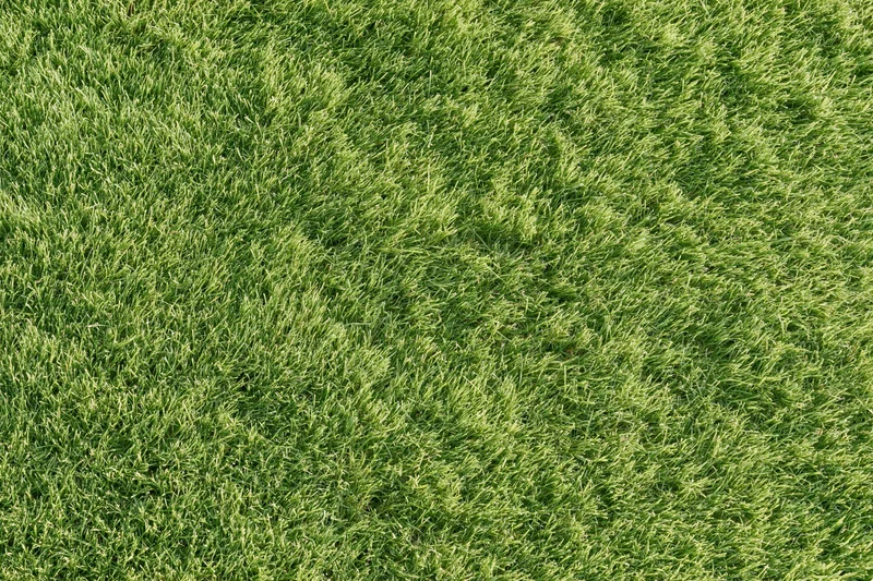 Closely mown green grass lawn viewed from directly above, flat and uniform surface