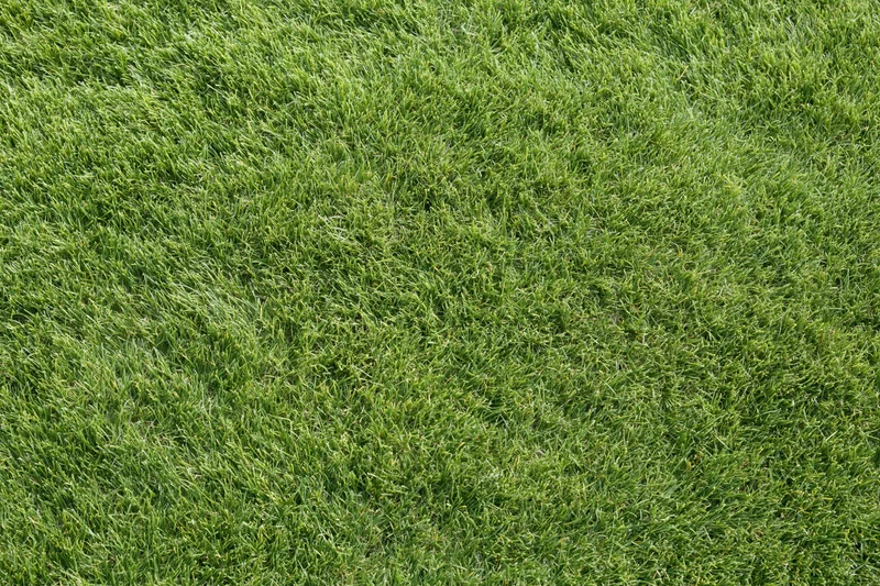 Closely mown green grass lawn viewed from directly above in a flat even surface