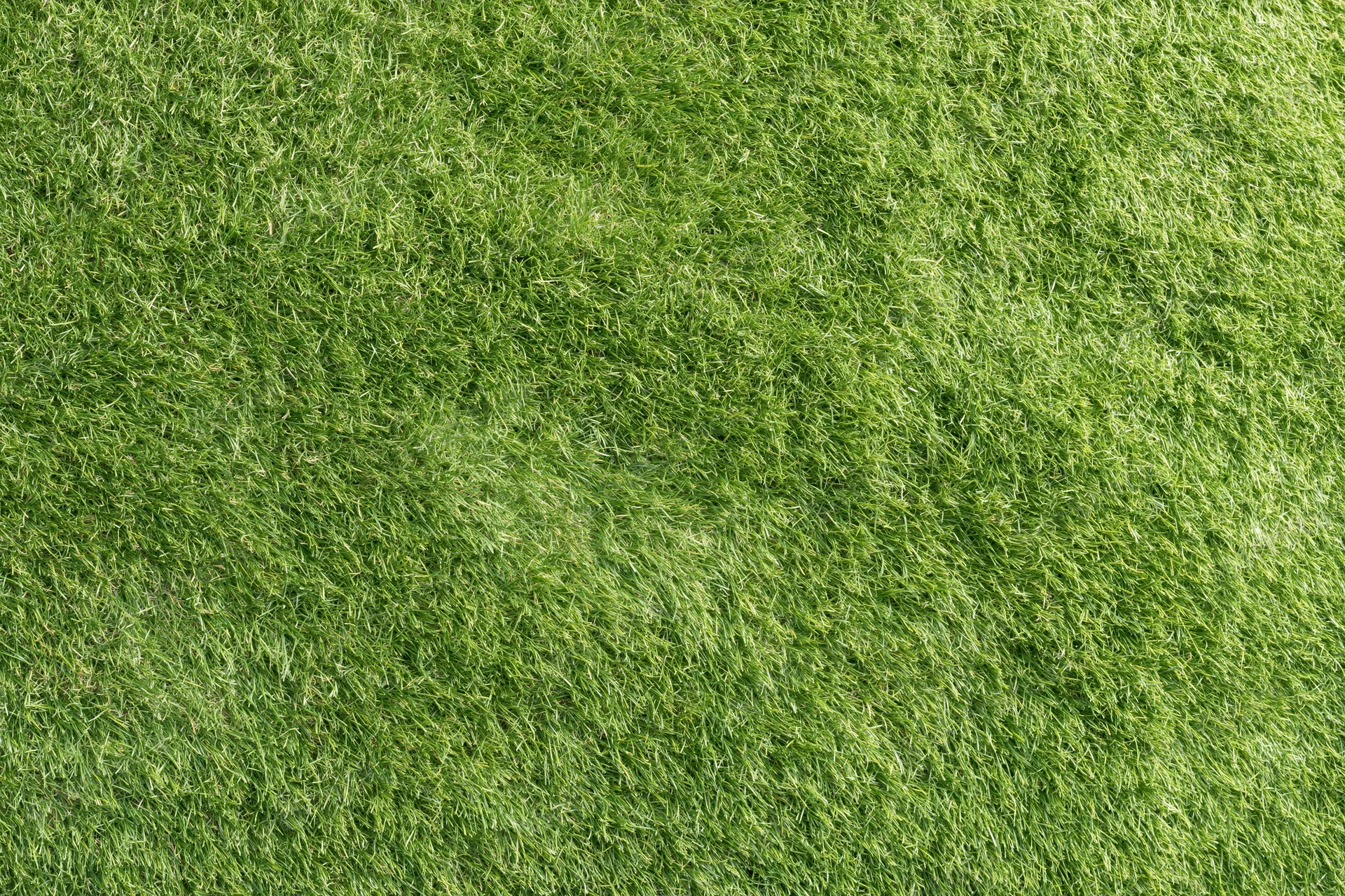 Closely mown green grass lawn viewed from directly above in a flat even surface