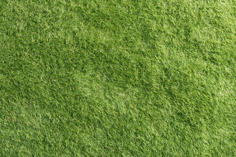Closely mown green grass lawn viewed from directly above in a flat even surface