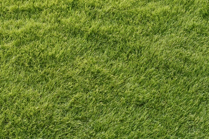 Closely mown green grass lawn viewed from directly above in a flat even surface