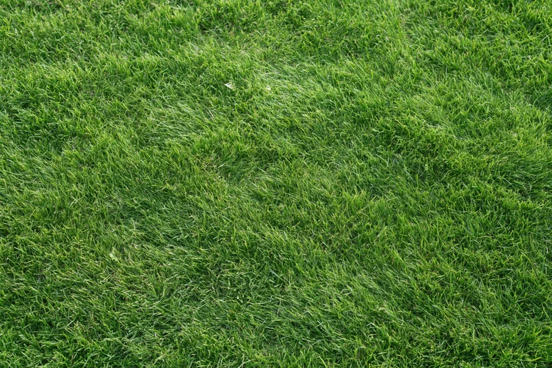 Closely mown green grass lawn viewed from directly above in a flat even surface