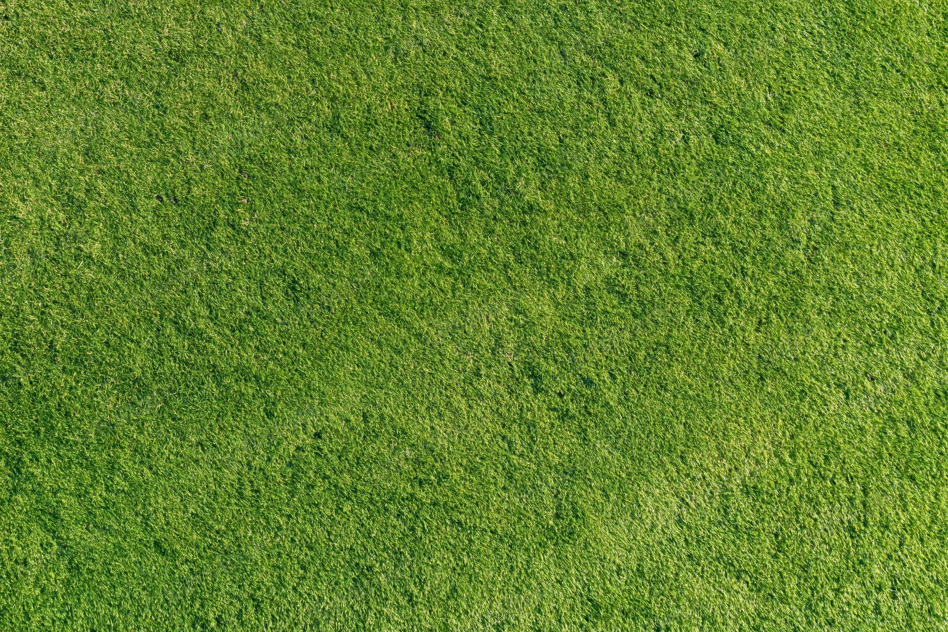 Closely mown sports turf filling the frame in a flat overhead view