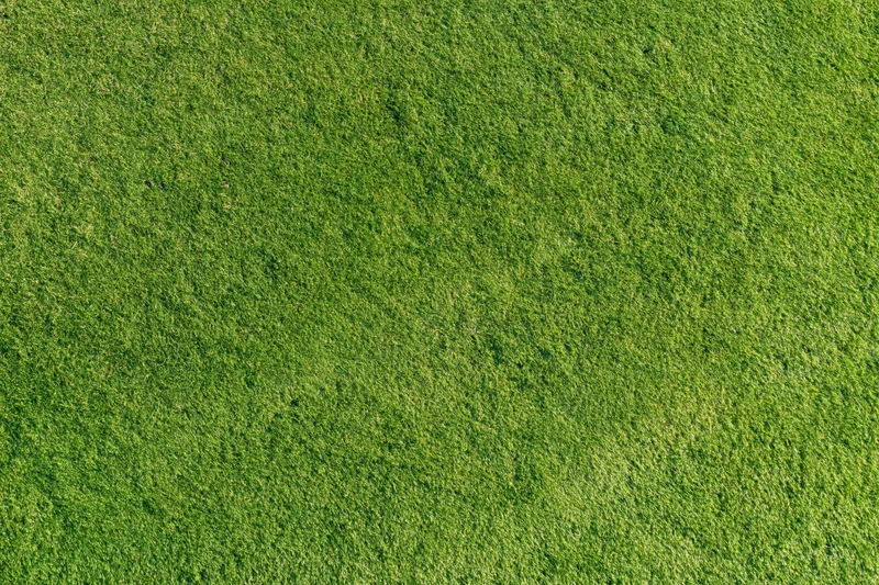 Closely mown sports turf filling the frame in a flat overhead view