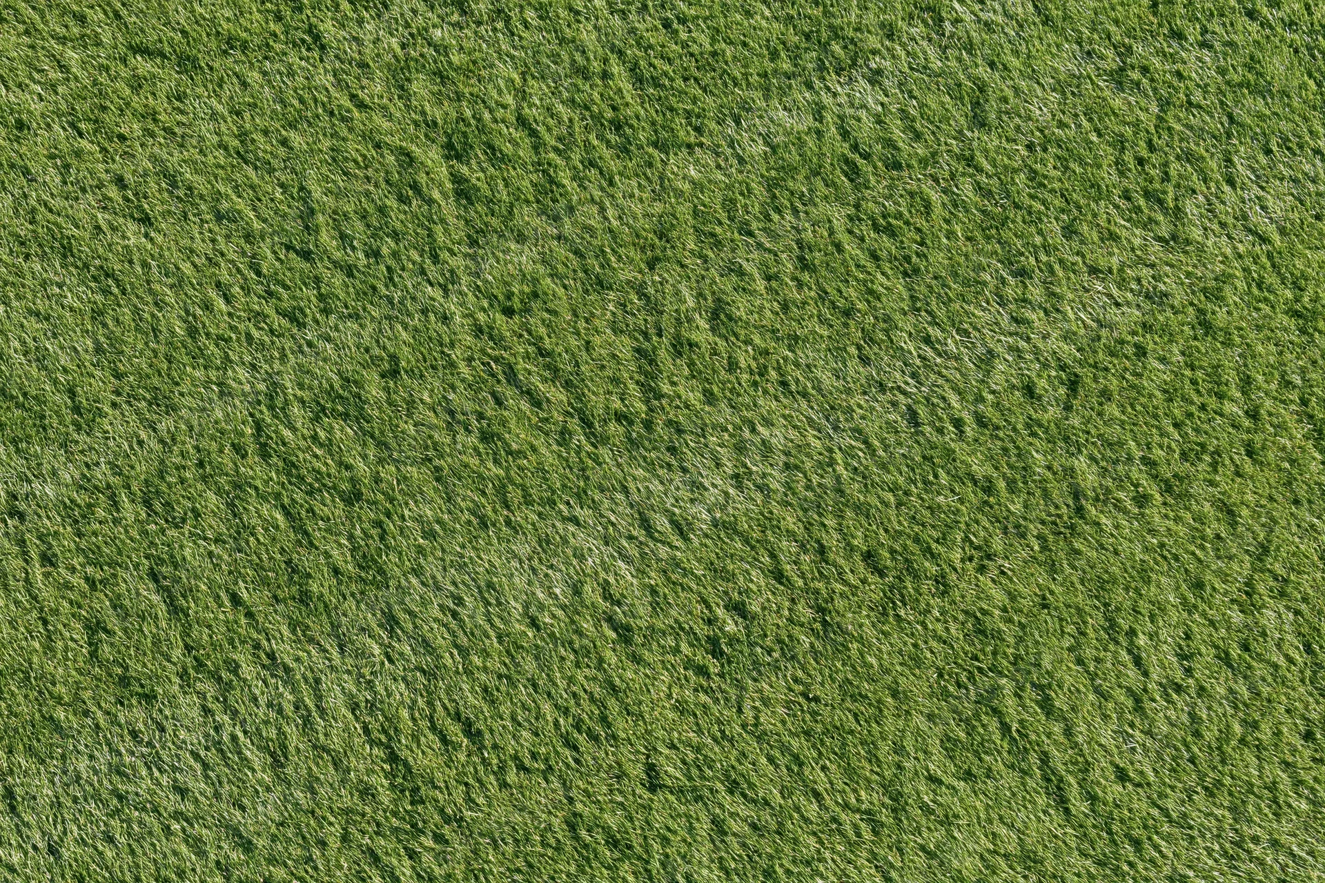 Closely mown sports turf filling the frame in a flat overhead view