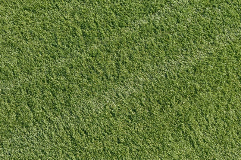 Closely mown sports turf filling the frame in a flat overhead view