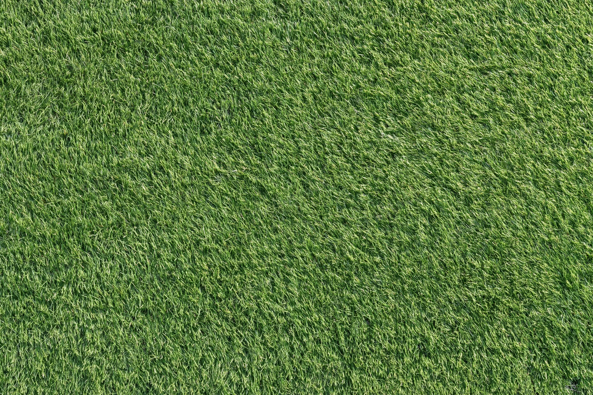 Closely mown sports turf filling the frame in a flat overhead view