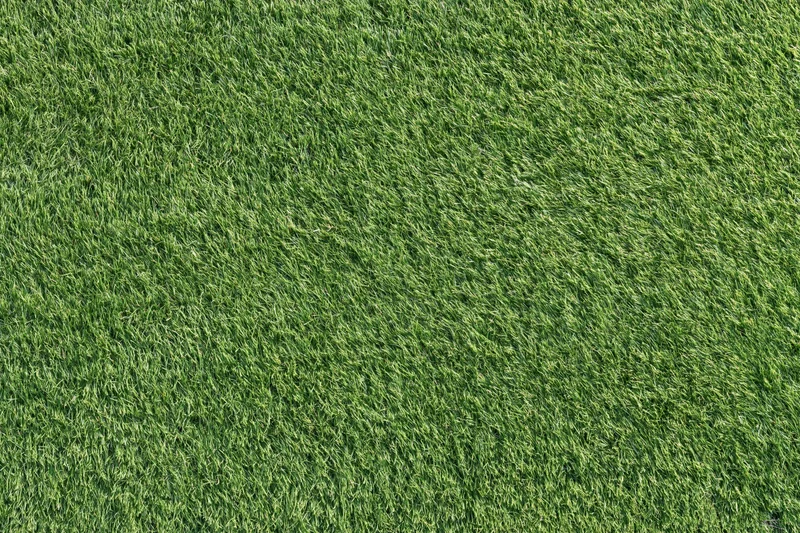 Closely mown sports turf filling the frame in a flat overhead view