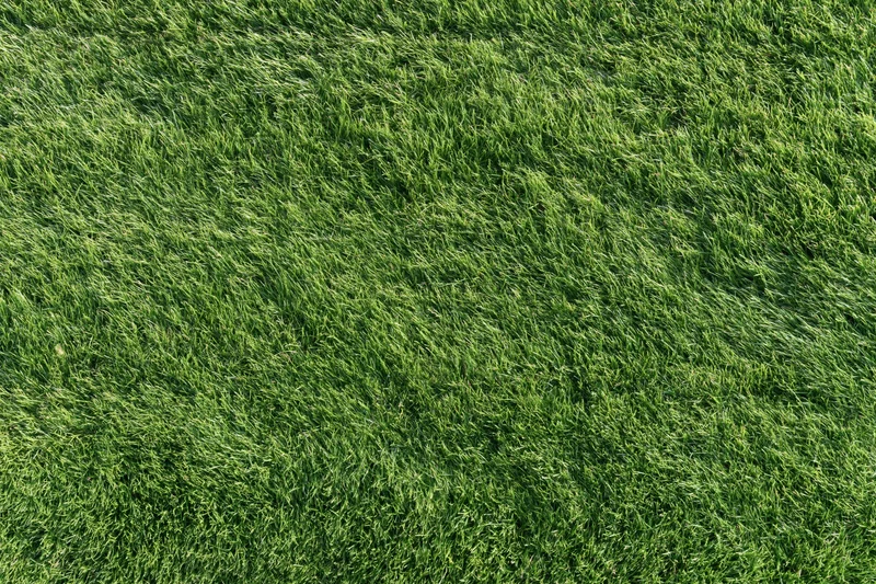 Closely mown green sports turf filling the frame from overhead view
