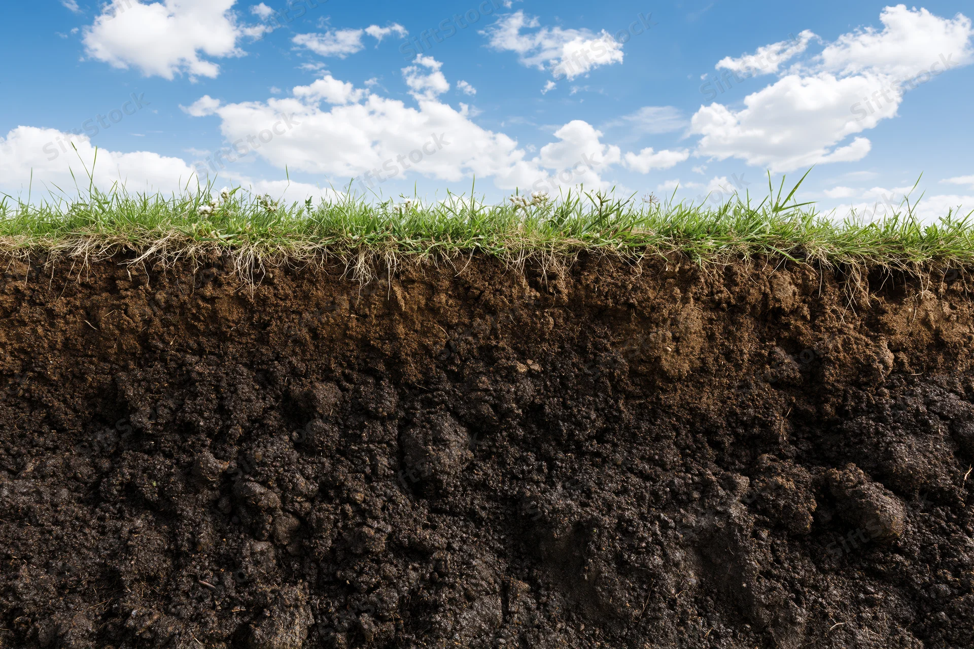 Cross-section of grass and soil layers under a blue sky with clouds
