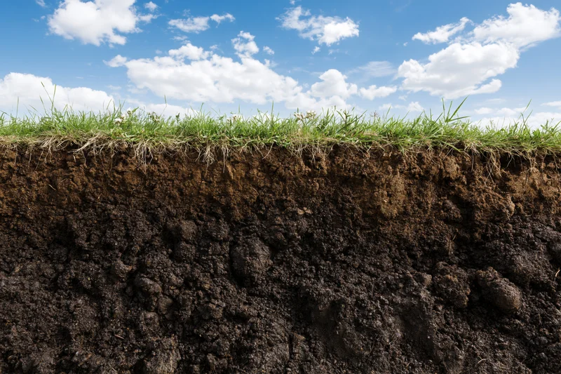 Cross-section of grass and soil layers under a blue sky with clouds