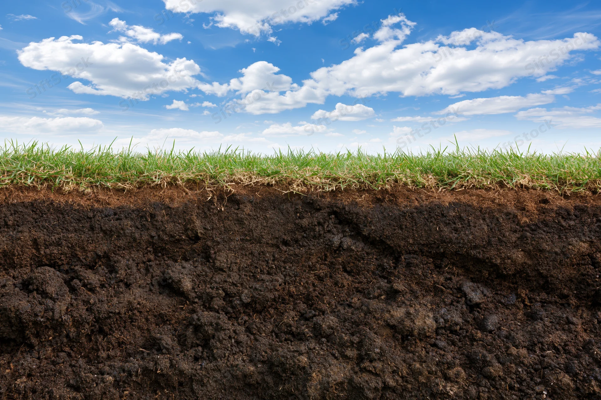 Cross-section of grass and soil layers under a blue sky with clouds