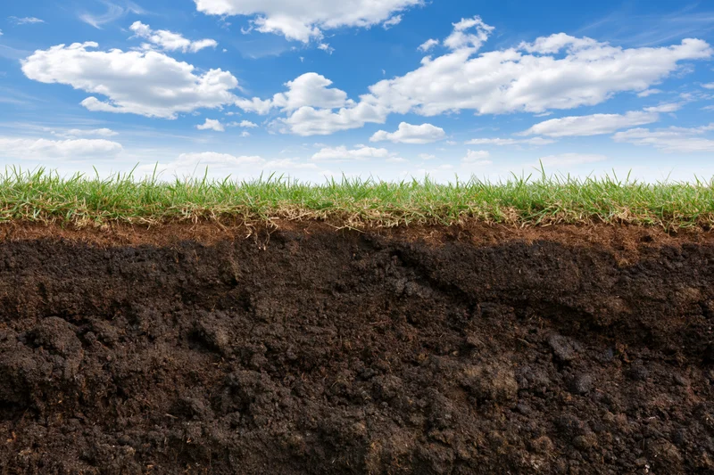 Cross-section of grass and soil layers under a blue sky with clouds