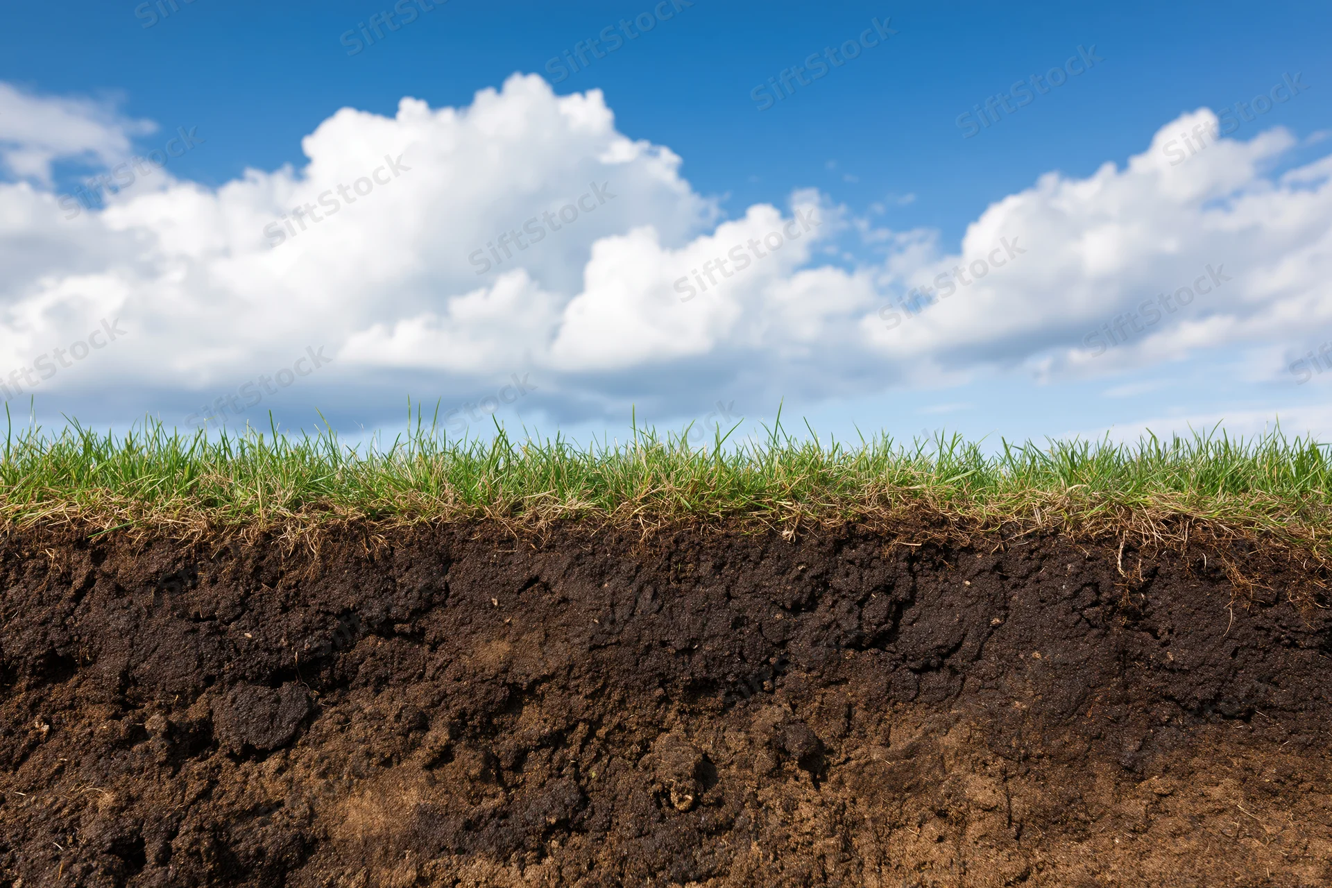 Cross-section of grass and soil layers under a blue sky with clouds