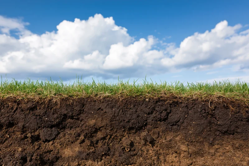 Cross-section of grass and soil layers under a blue sky with clouds