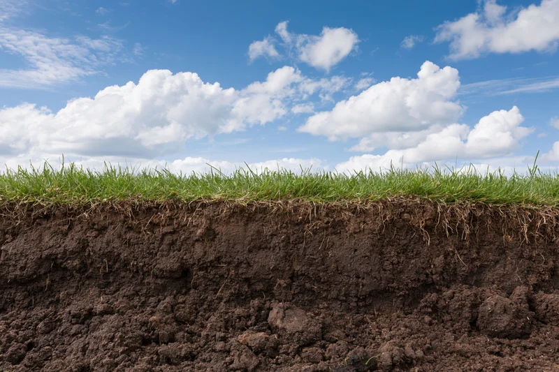 Cross-section of grass and soil under a blue sky with clouds