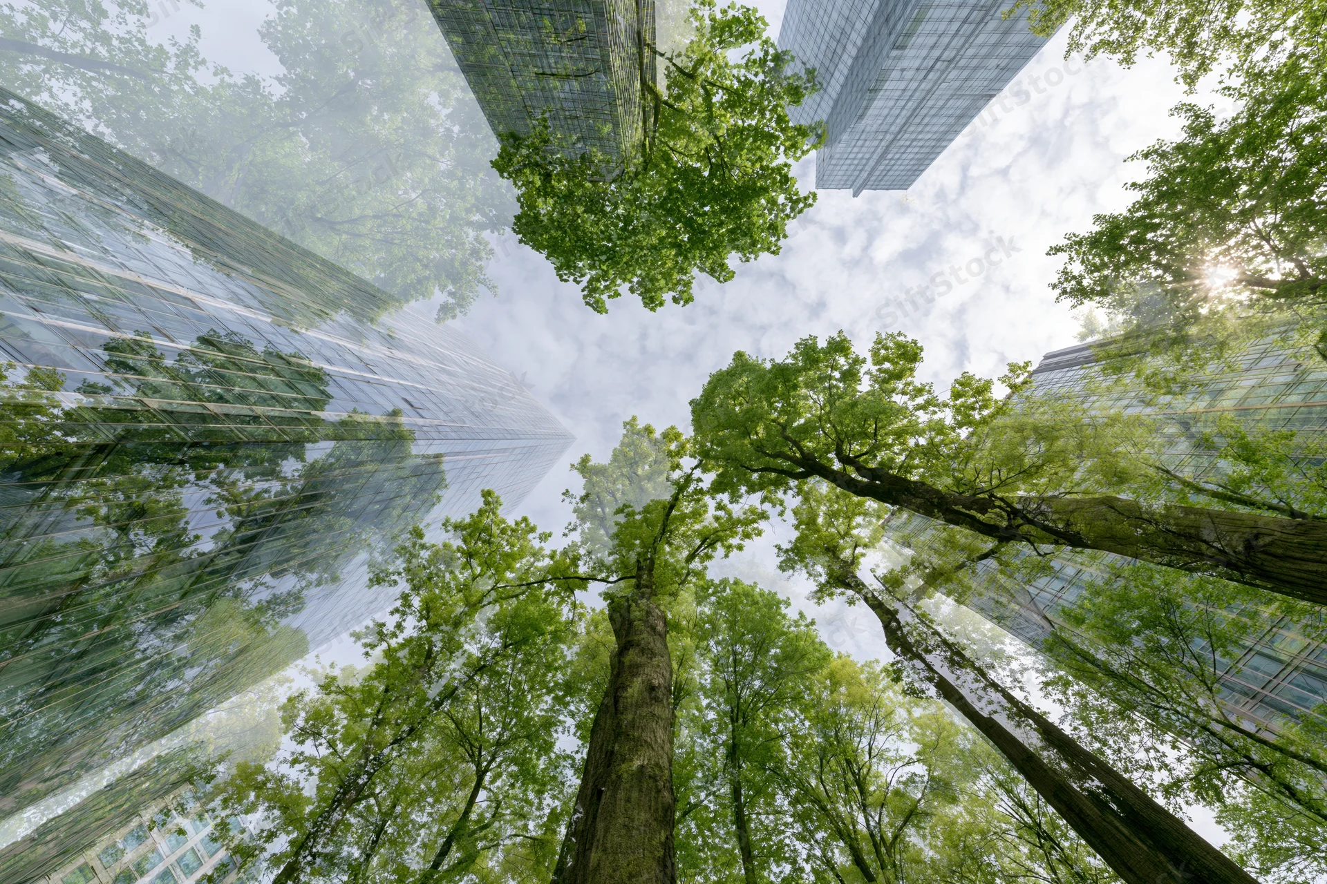 Double exposure of glass skyscrapers and lush green trees viewed from below in an urban setting