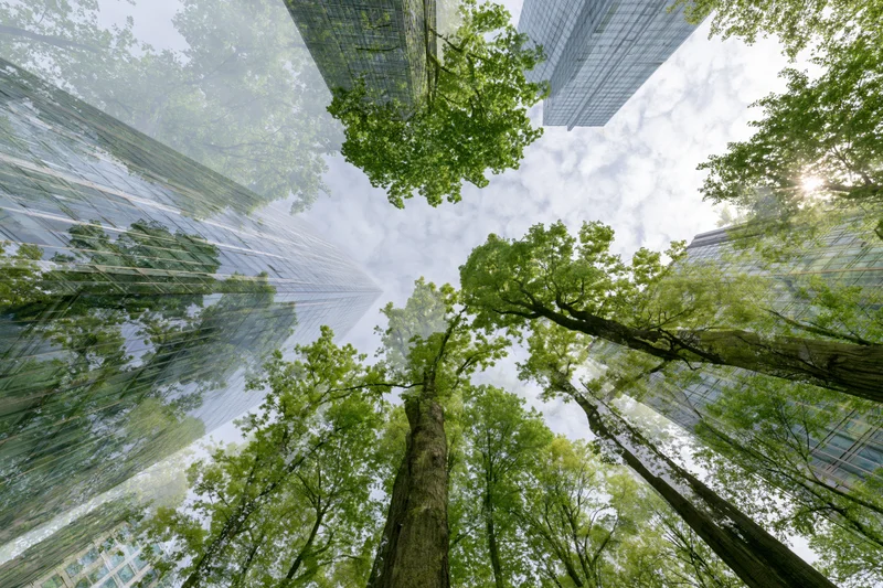 Double exposure of glass skyscrapers and lush green trees viewed from below in an urban setting