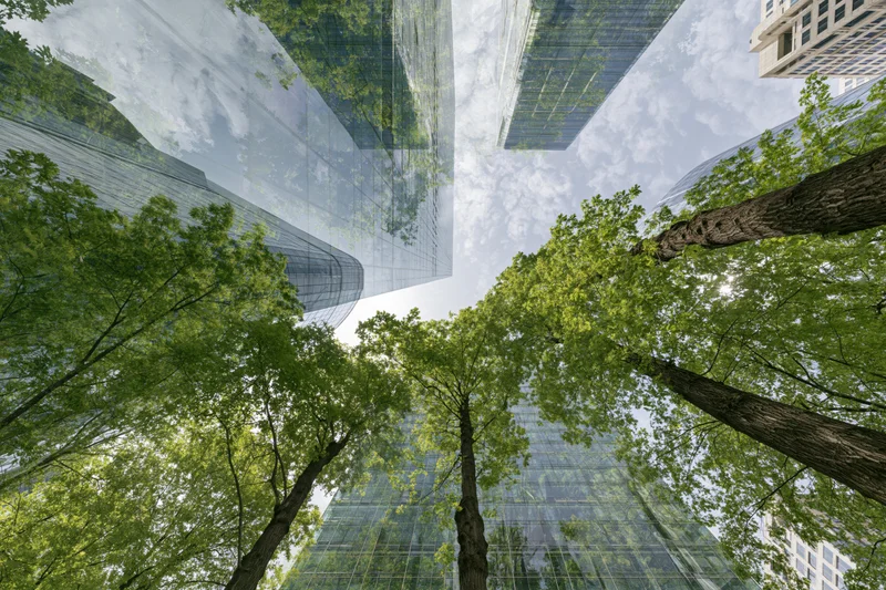 Double exposure of glass skyscrapers and lush green trees viewed from below