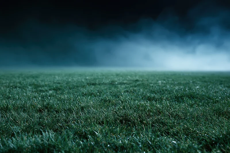 Close-up of grass surface on an empty football pitch at ground level under a dark cloudy sky