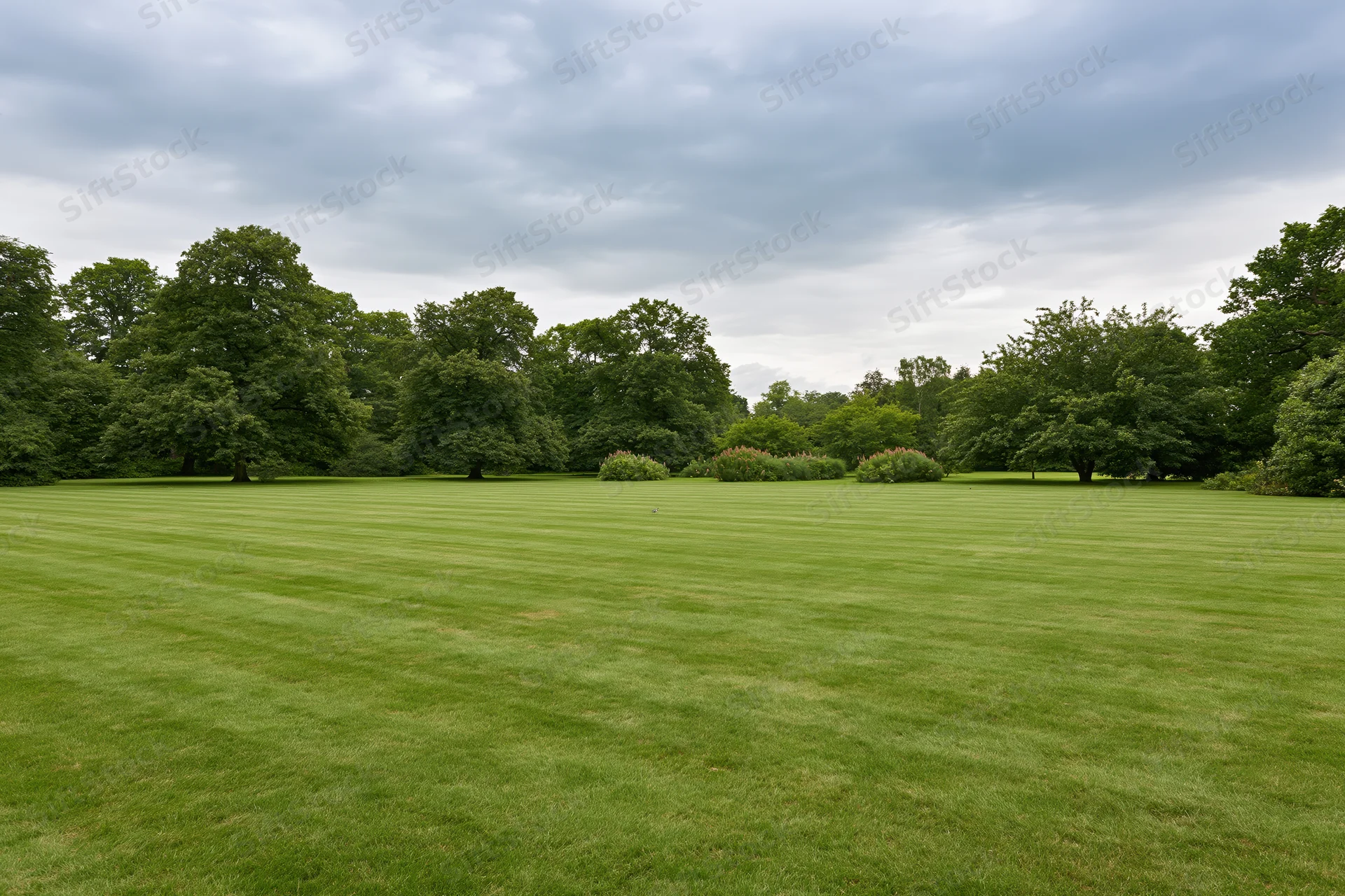 Expansive manicured lawn stretching toward a treeline of dense trees under an overcast sky