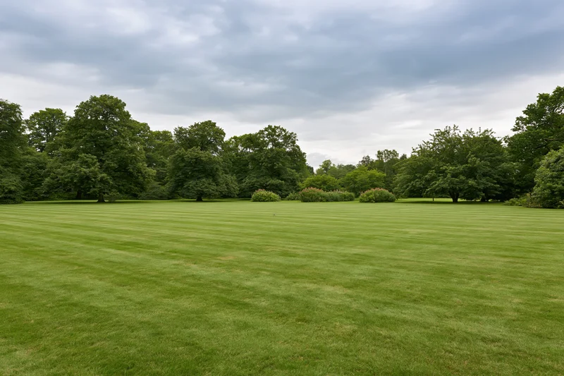 Expansive manicured lawn stretching toward a treeline of dense trees under an overcast sky