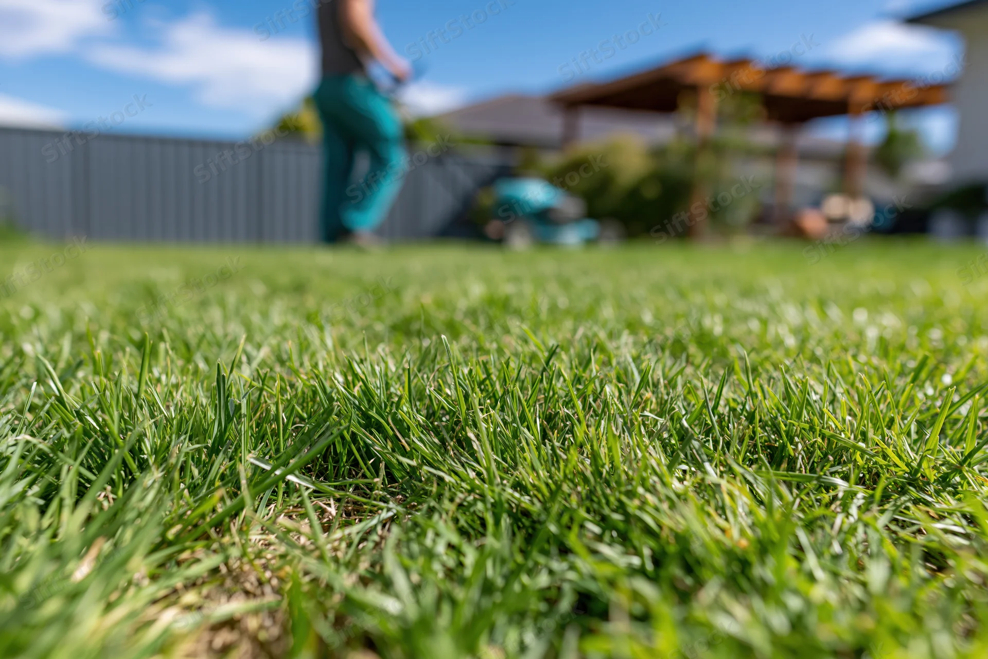 Freshly cut green lawn in a suburban backyard with a person mowing in the background