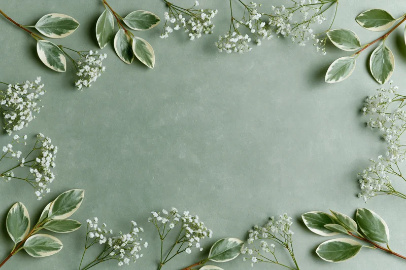 Flat lay of gypsophila sprigs and variegated leaves arranged in a frame on a muted green surface with copyspace