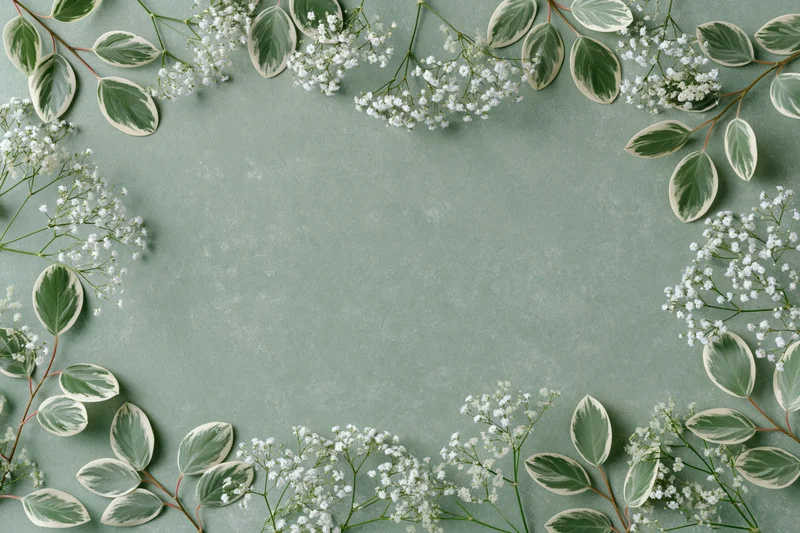 Flat lay of gypsophila sprigs and variegated leaves arranged in a frame on a mint green surface with copyspace