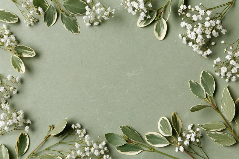 Flat lay of gypsophila sprigs and variegated leaves arranged in a frame on a green surface