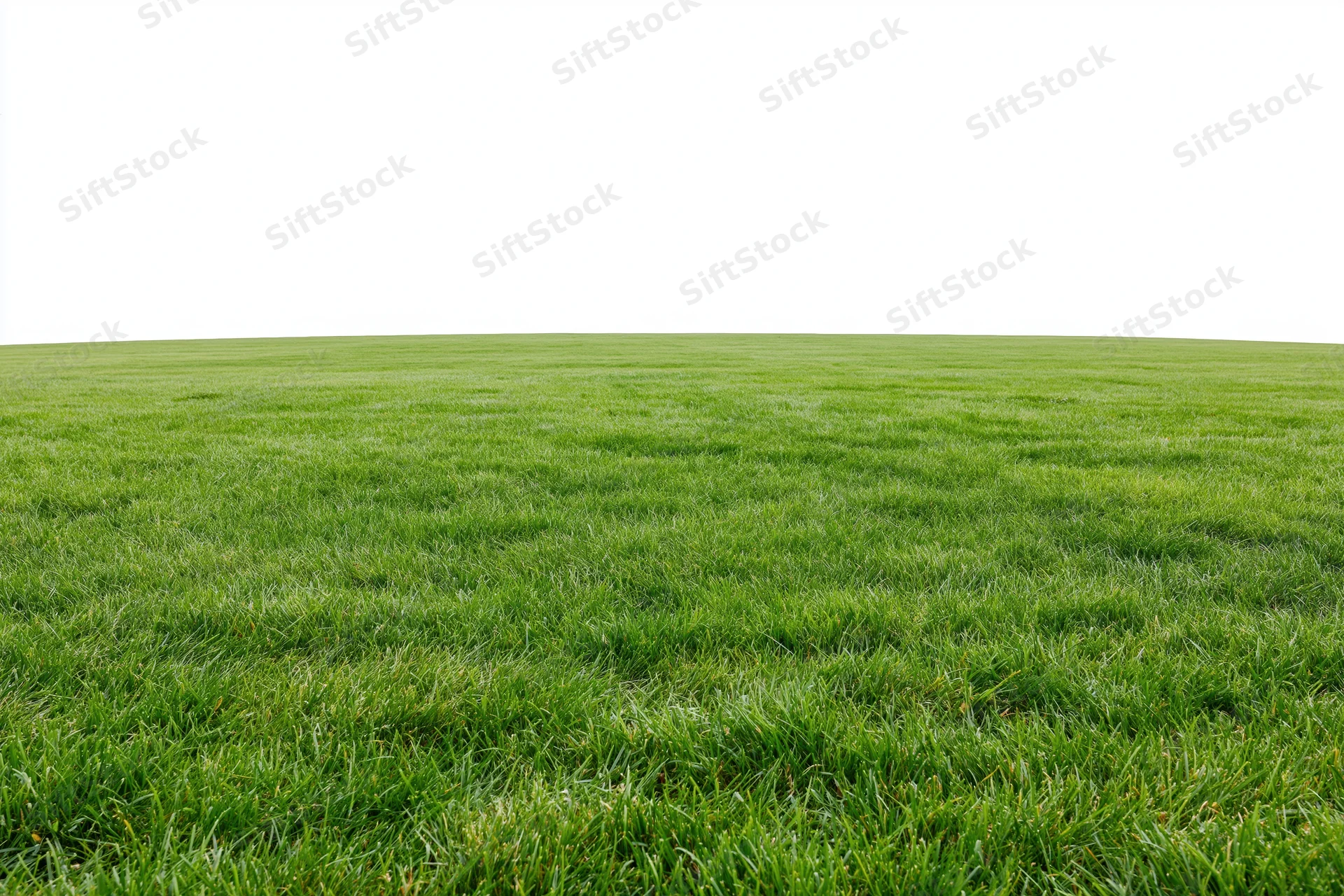 Flat grass field stretching to horizon in wide low-angle view