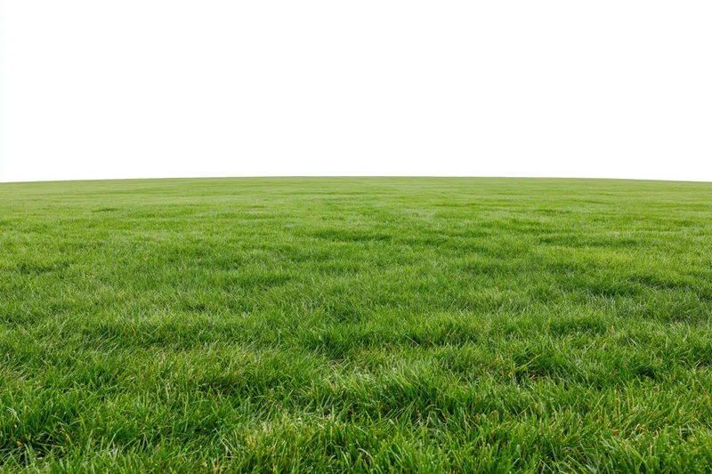 Flat grass field stretching to horizon in wide low-angle view
