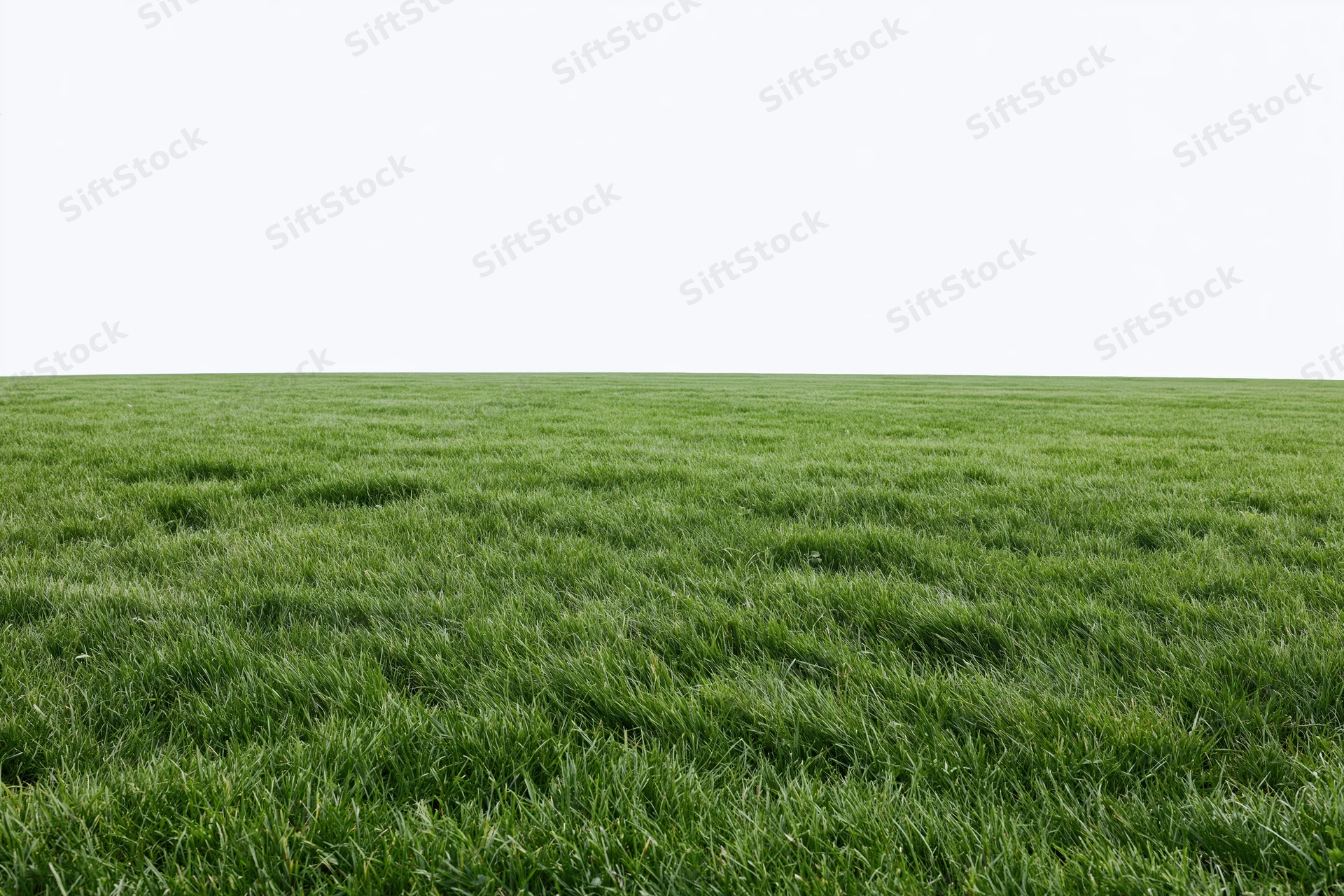 Flat green grass field stretching to the horizon in wide low-angle view