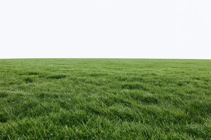 Flat green grass field stretching to the horizon in wide low-angle view