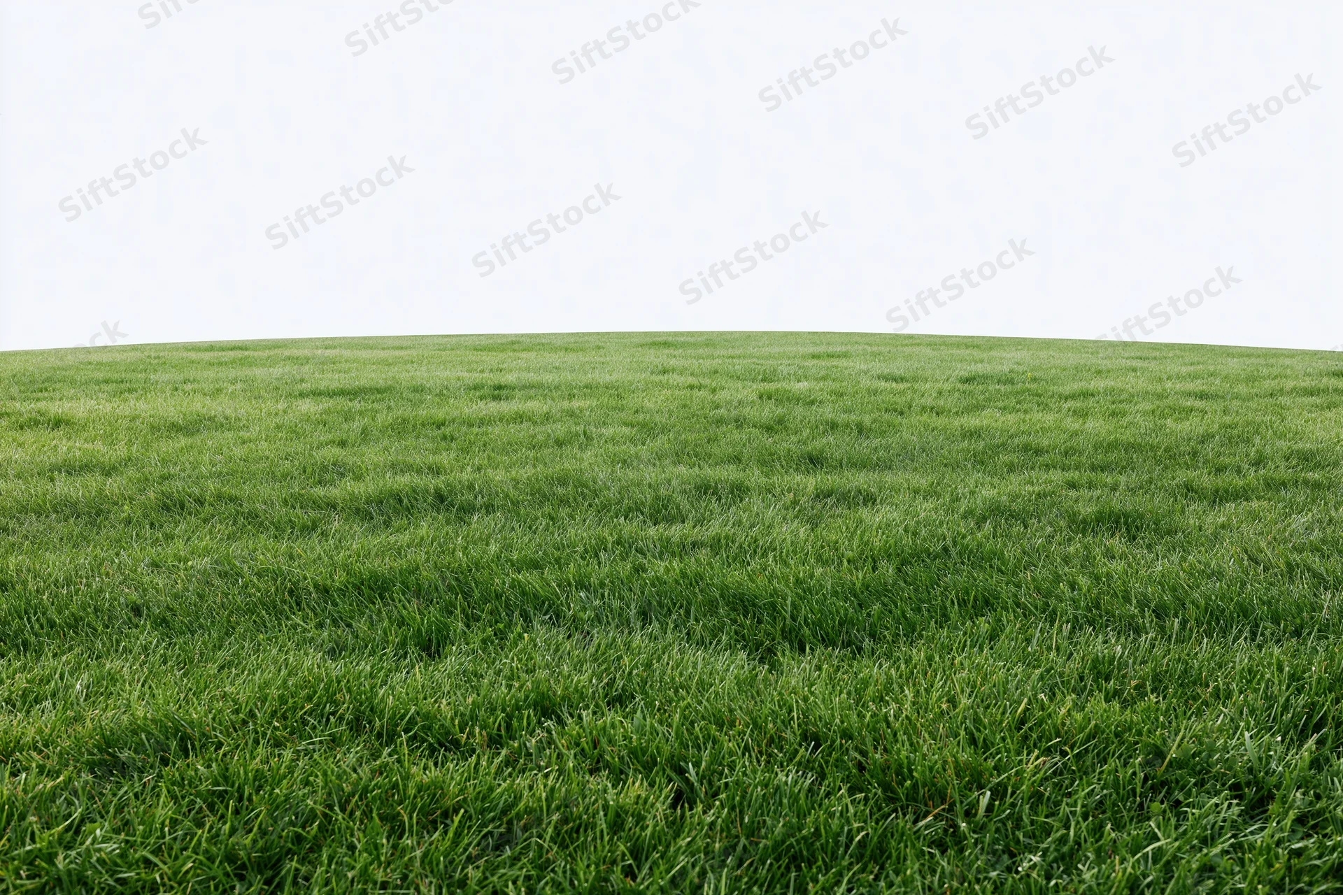 Wide low-angle view of a flat green grass field stretching to the horizon
