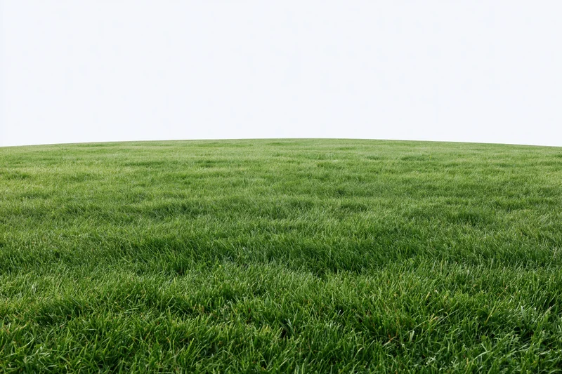 Wide low-angle view of a flat green grass field stretching to the horizon