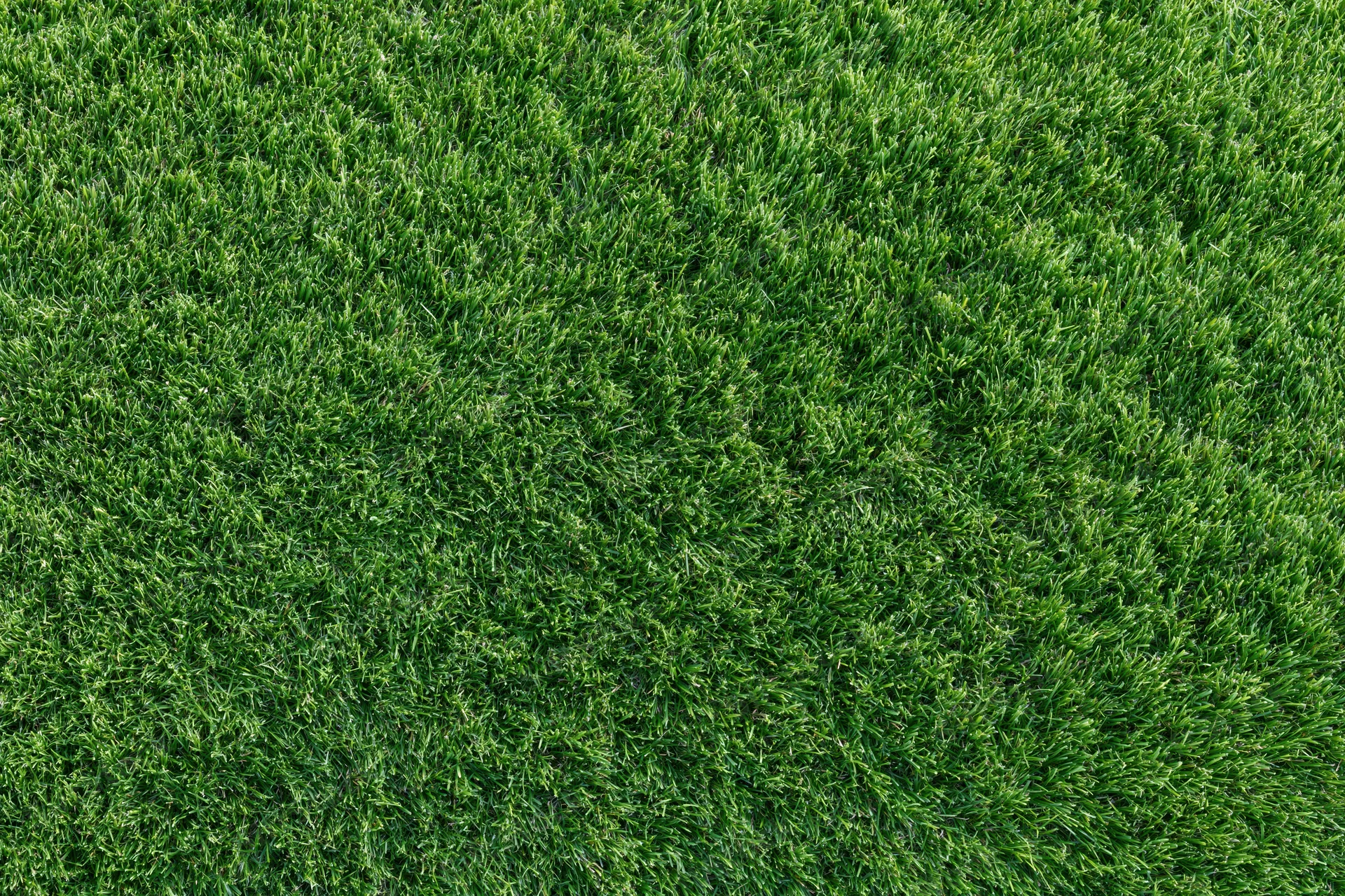 Neatly trimmed grass surface viewed from directly above