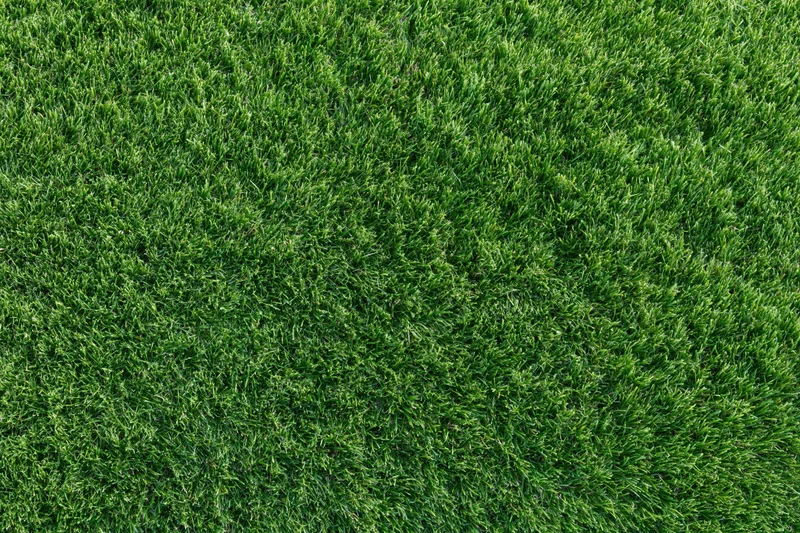 Neatly trimmed grass surface viewed from directly above