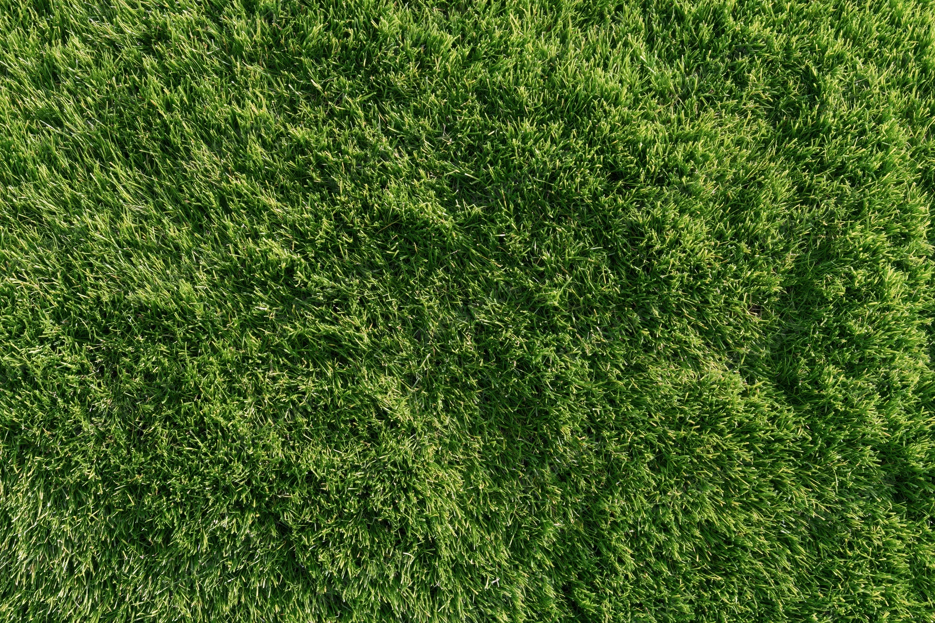 Neatly trimmed grass surface viewed from directly above