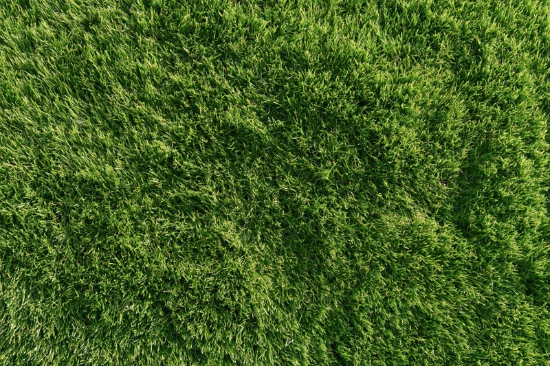 Neatly trimmed grass surface viewed from directly above