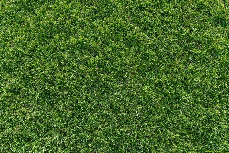 Neatly trimmed grass surface viewed from directly above