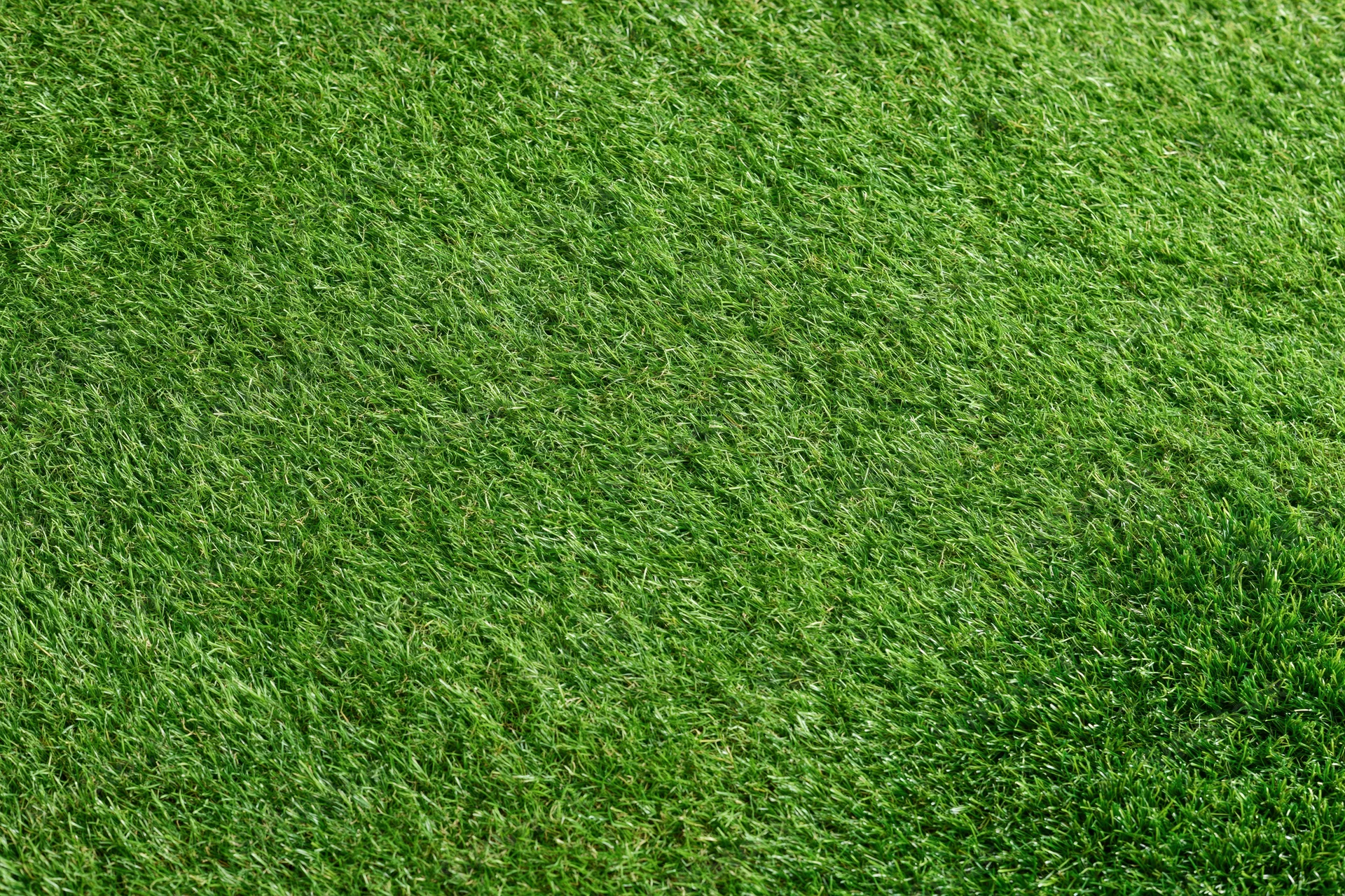 Artificial turf surface viewed from directly above in a flat overhead closeup
