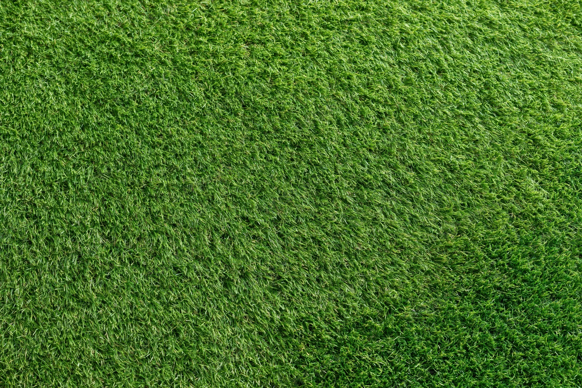 Close-up overhead view of short-cut artificial turf covering a flat surface