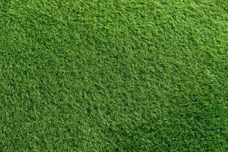 Close-up overhead view of short-cut artificial turf covering a flat surface