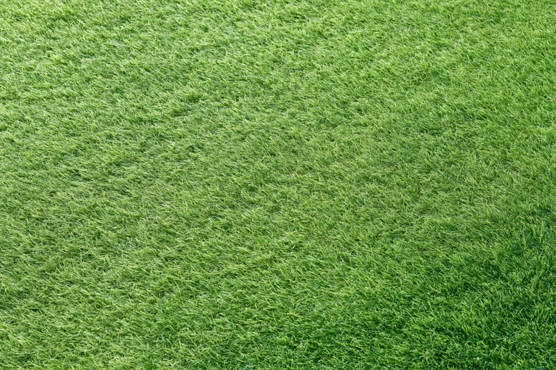 Short-cut artificial turf filling the frame in a flat overhead closeup