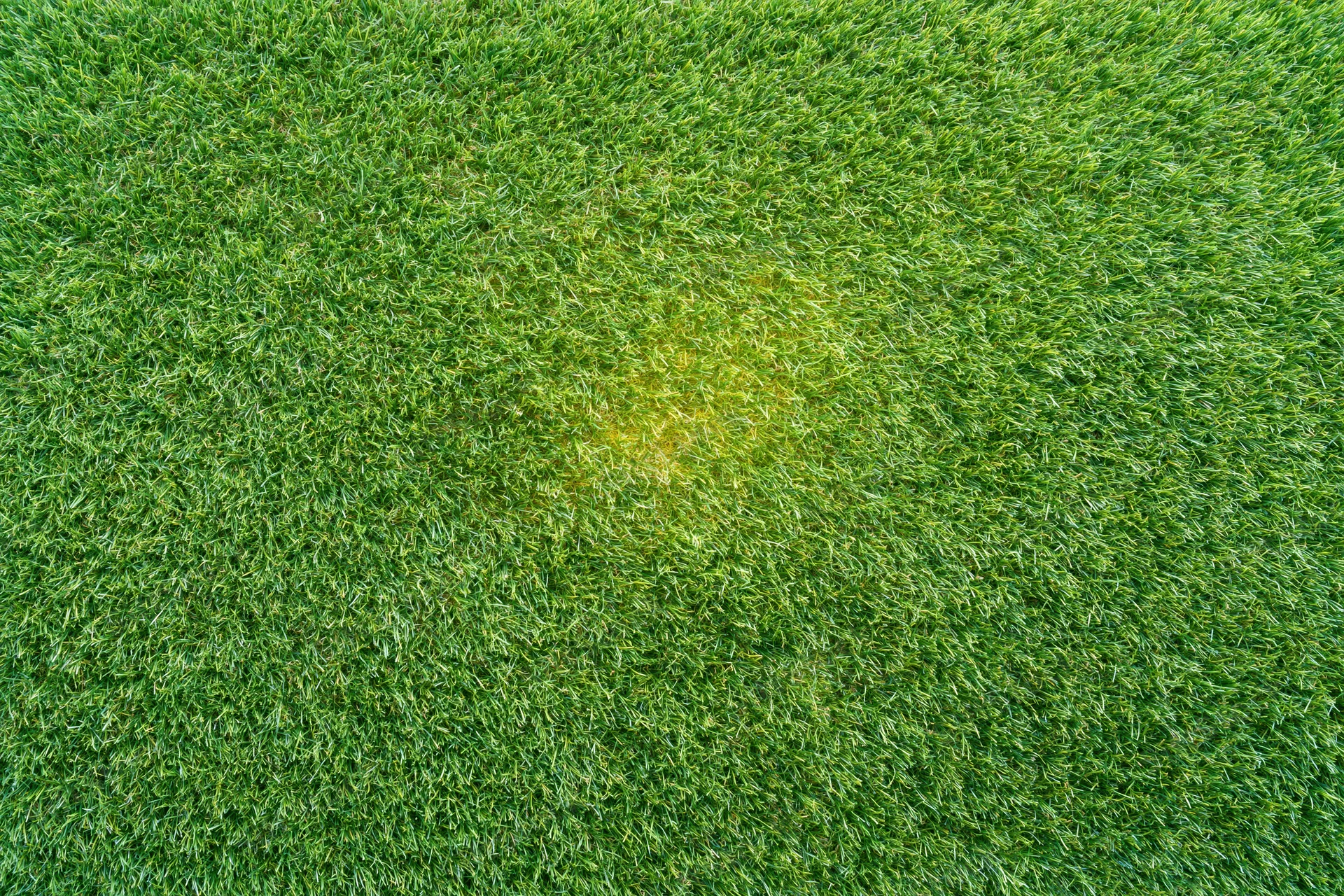 Overhead view of closely trimmed artificial turf grass field