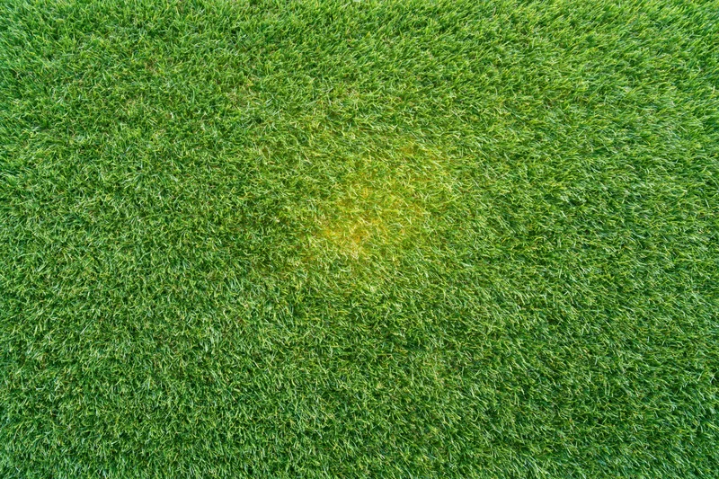 Overhead view of closely trimmed artificial turf grass field