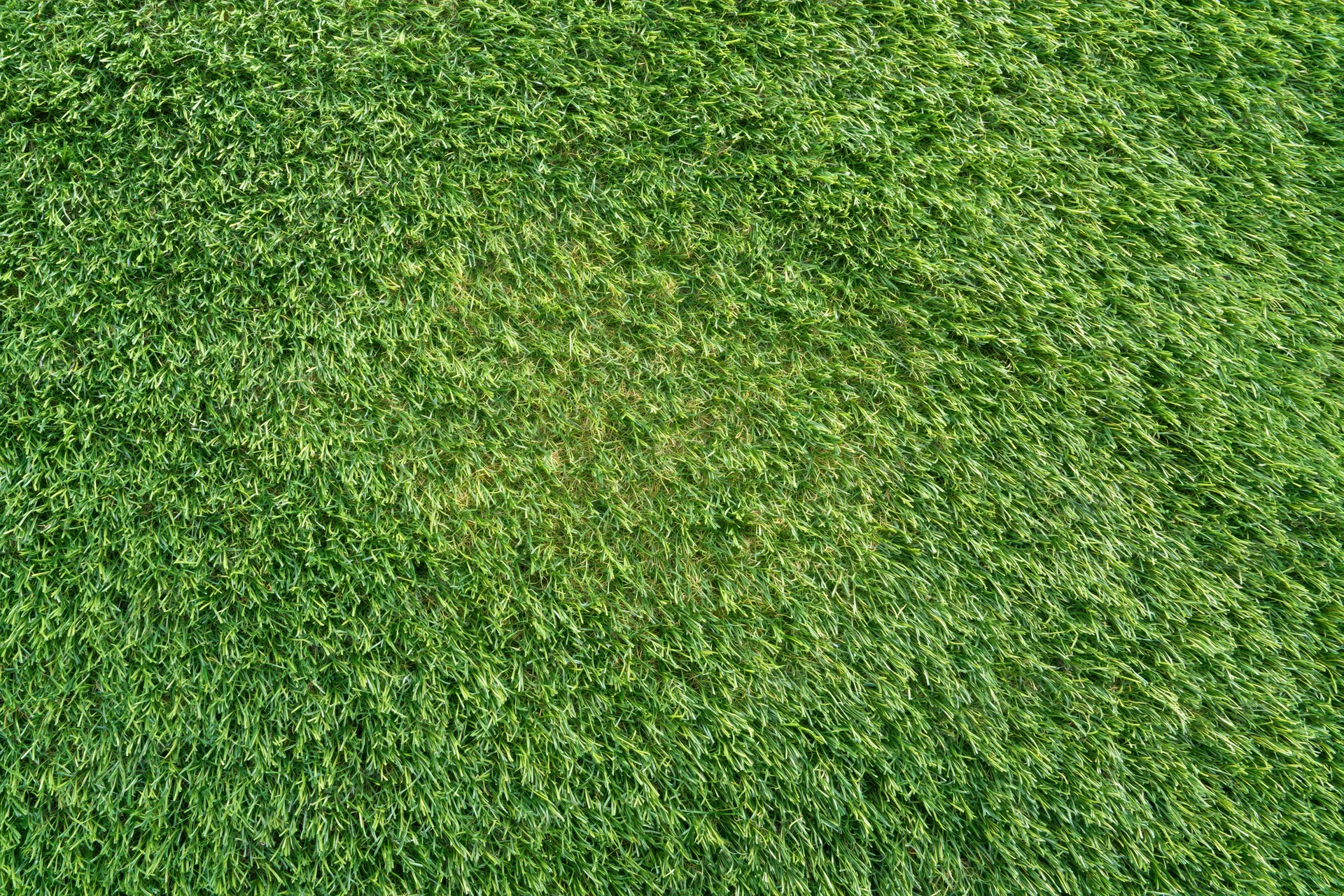 Flat overhead view of closely trimmed artificial turf grass surface