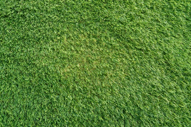 Flat overhead view of closely trimmed artificial turf grass surface
