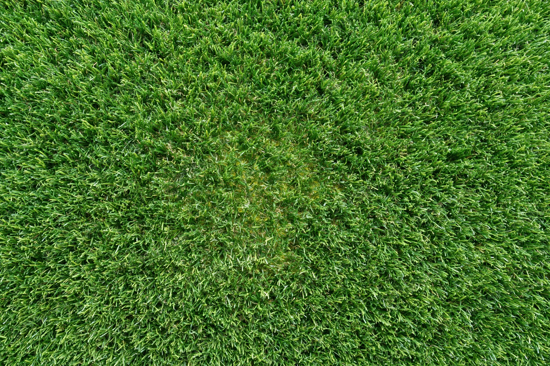 Overhead view of closely trimmed artificial turf grass surface